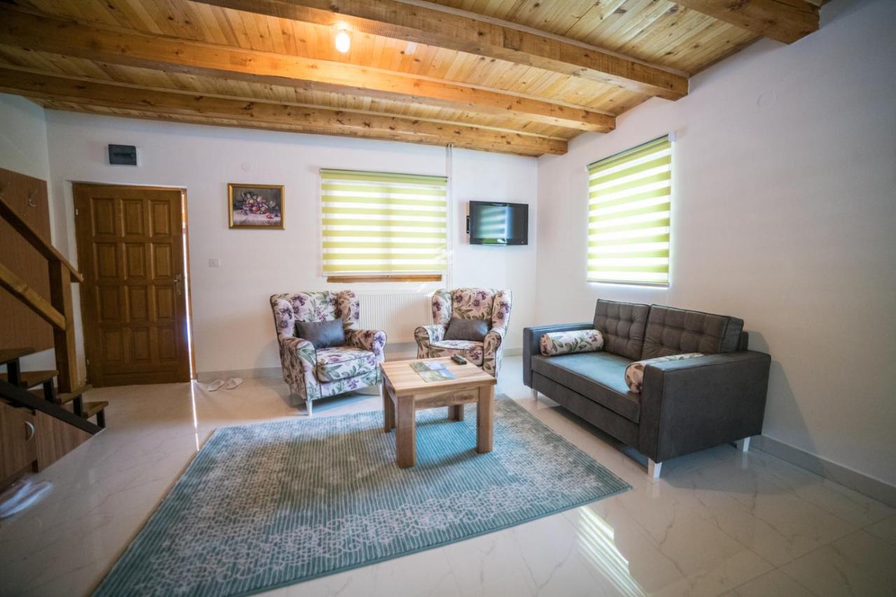 טיינטישטה Vila "Volujak" מראה חיצוני תמונה